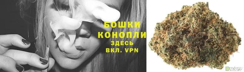 Конопля OG Kush  Бикин 